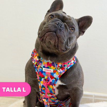 Hearts Trail Harness by Agatha Ruiz de la Prada