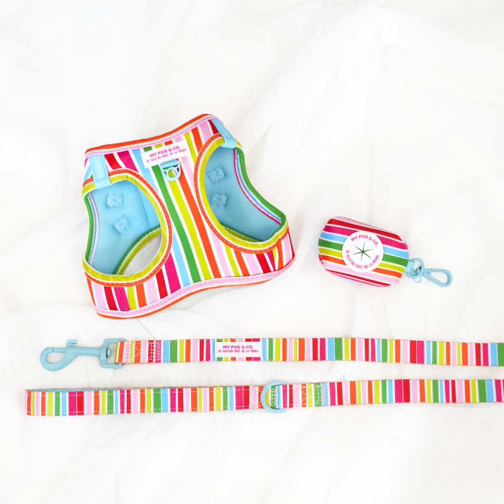 Pack Arnés Body Arcoíris by Agatha Ruiz de la Prada