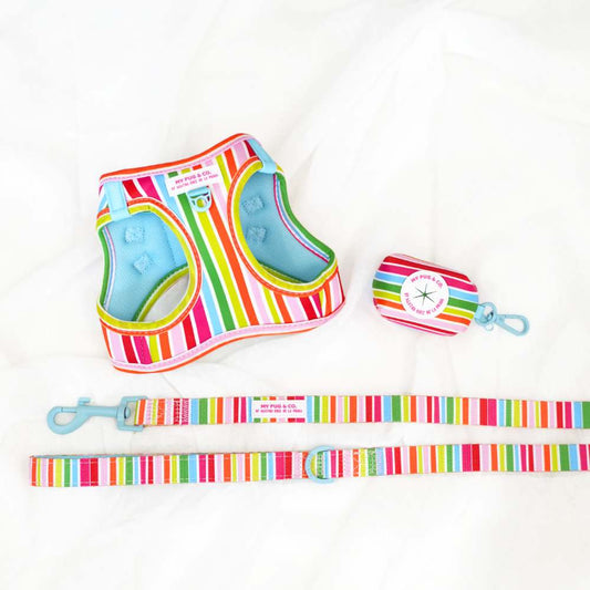 Pack Arnés Body Arcoíris by Agatha Ruiz de la Prada