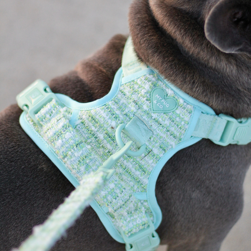 Mint Chic Trail Harness