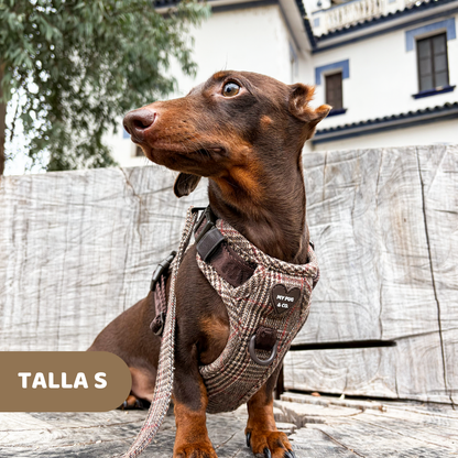 Arnés Todoterreno Tartán