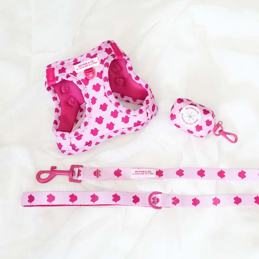 Pack Arnés Body Beso by Agatha Ruiz de la Prada