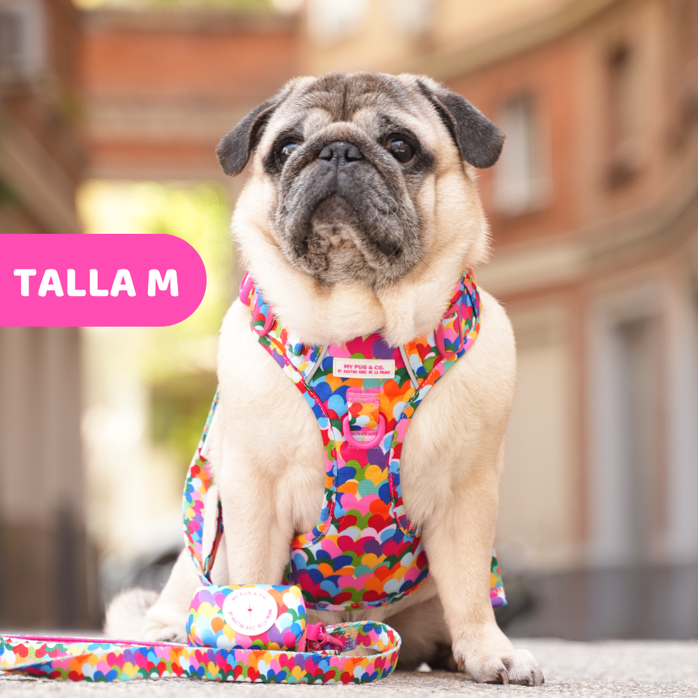 Hearts Trail Harness by Agatha Ruiz de la Prada