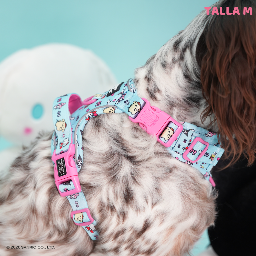 Trail harness by Hello Kitty and Friends