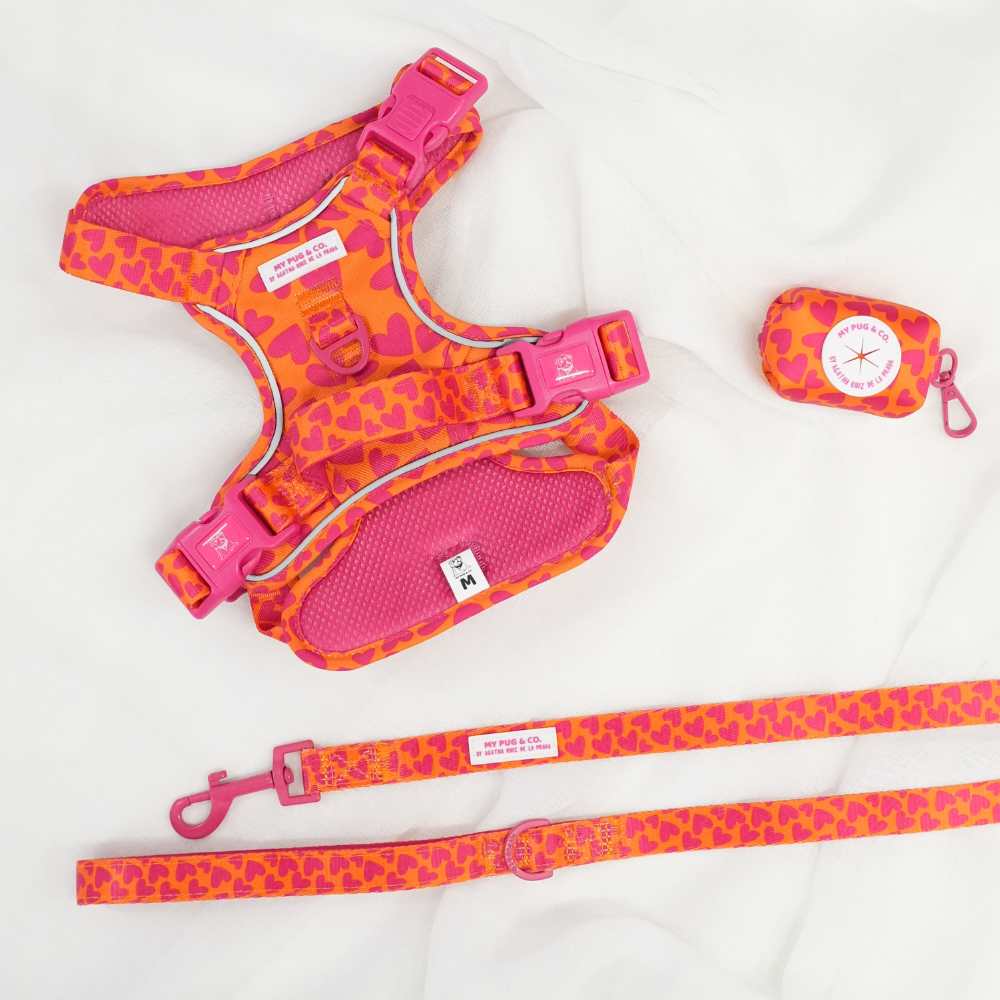 Pack Arnés Todoterreno Corazones by Agatha Ruiz de la Prada