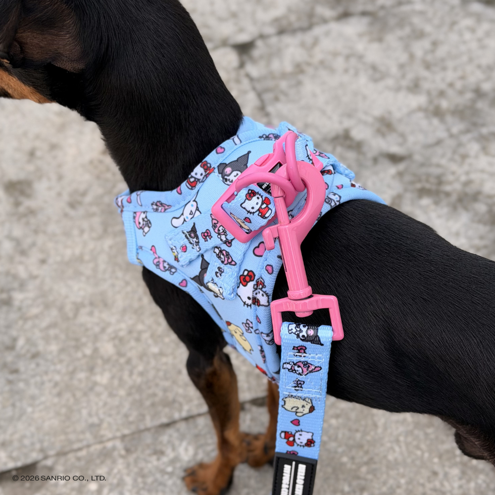 Step-in Hundegeschirr von Hello Kitty and Friends