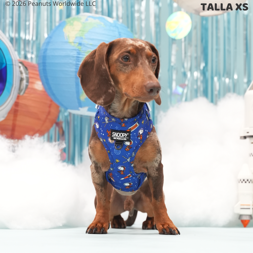 Space Adjustable Harness by Snoopy™️
