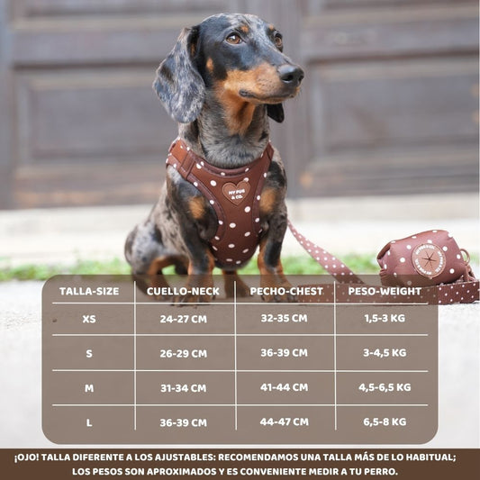 Arnés body Chocolate Dots para perros de My Pug & Co