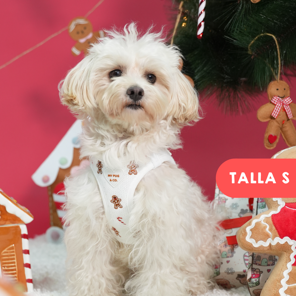 Arnés Body Gingerbread