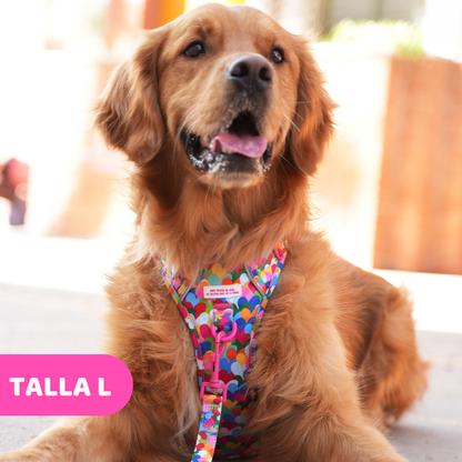 Hearts Trail Harness by Agatha Ruiz de la Prada