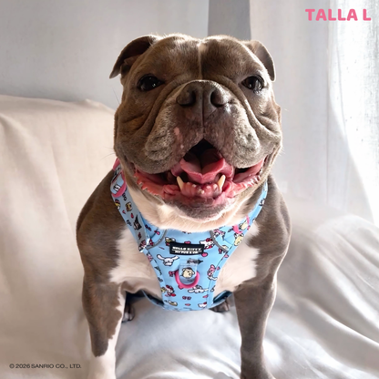 Trail harness by Hello Kitty and Friends