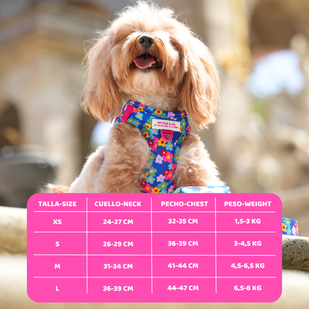 Step-in Hundegeschirr Farbenfrohe Blumen von Agatha Ruiz de la Prada