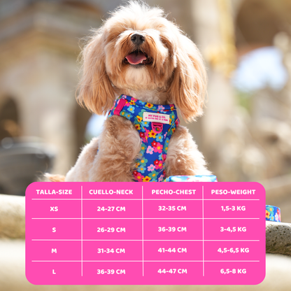 Step-in Hundegeschirr Farbenfrohe Blumen von Agatha Ruiz de la Prada