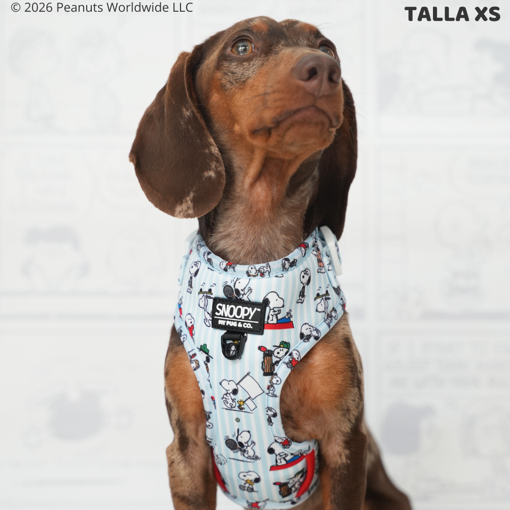 Arnés Ajustable Many Faces of Snoopy™️