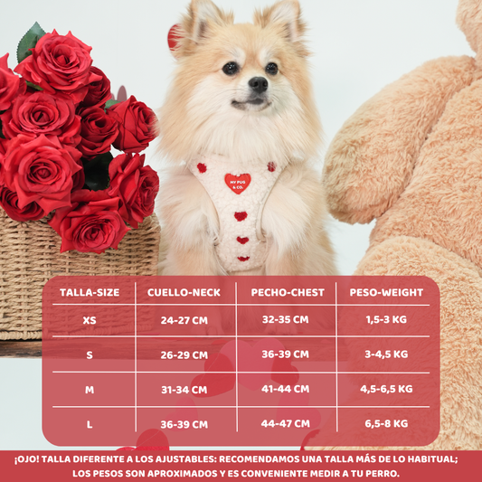 Arnés Body Corazón