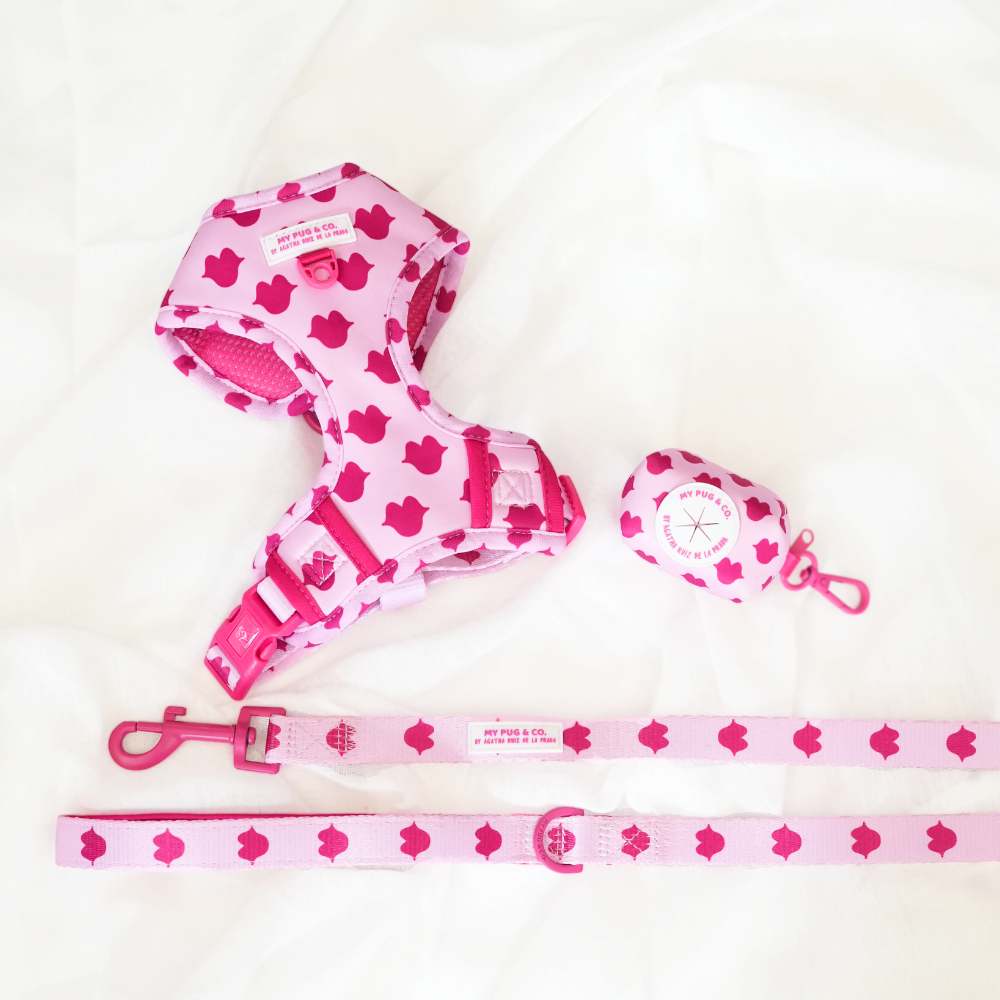 Pack Arnés Ajustable Beso by Agatha Ruiz de la Prada