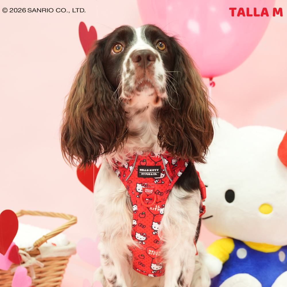 Arnés Todoterreno Hello Kitty Red