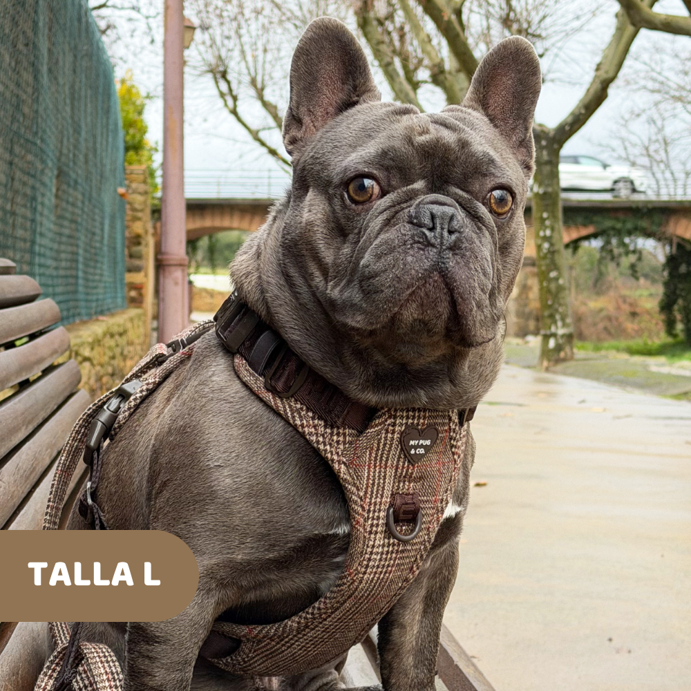 Arnés Todoterreno Tartán