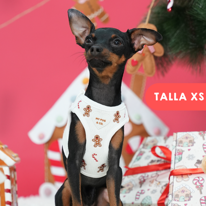 Arnés Body Gingerbread