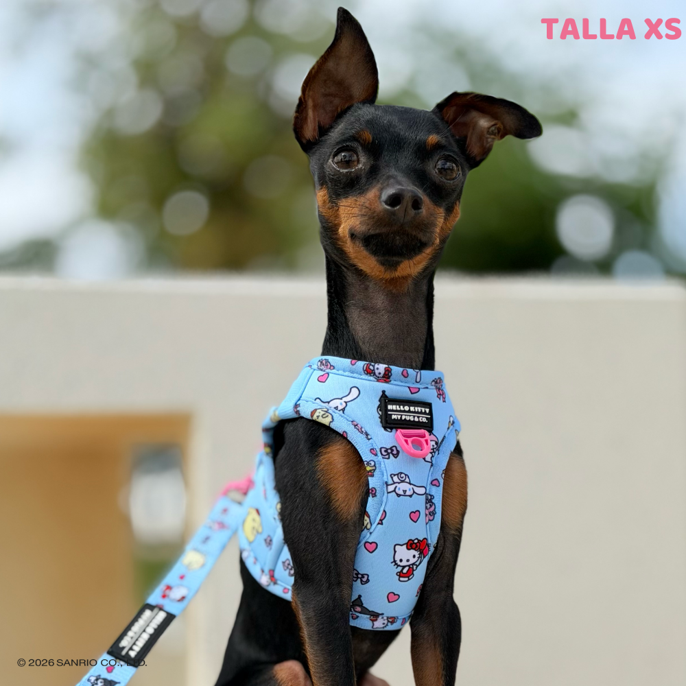 Step-in Hundegeschirr von Hello Kitty and Friends