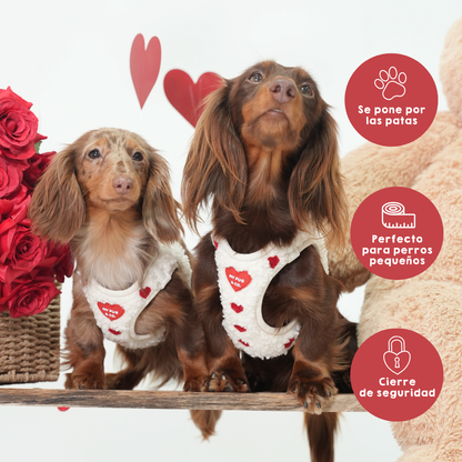 Arnés Body Corazón