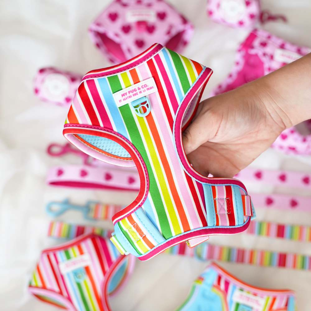 Arnés Ajustable Arcoíris by Agatha Ruiz de la Prada