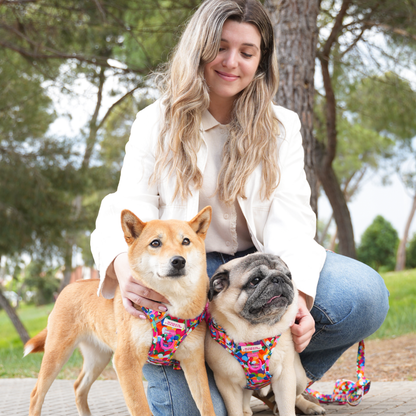 Hearts Trail Harness by Agatha Ruiz de la Prada