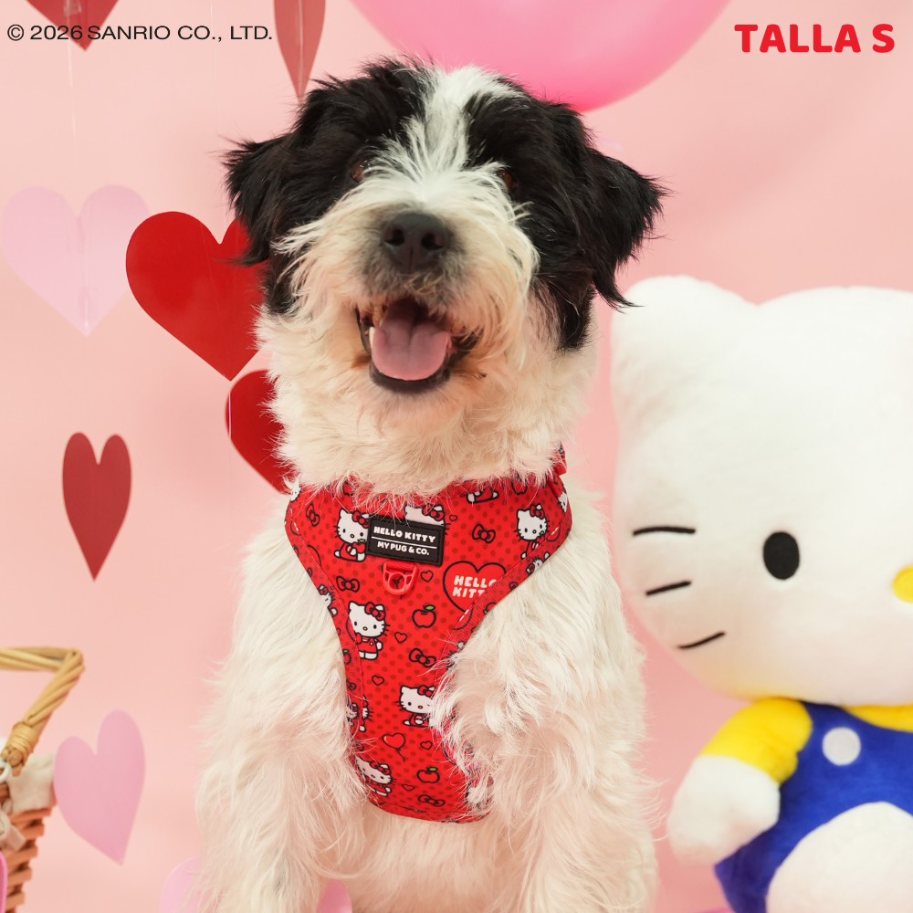 Pack Arnés Ajustable Hello Kitty Red
