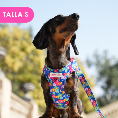 Step-in Hundegeschirr Farbenfrohe Blumen von Agatha Ruiz de la Prada