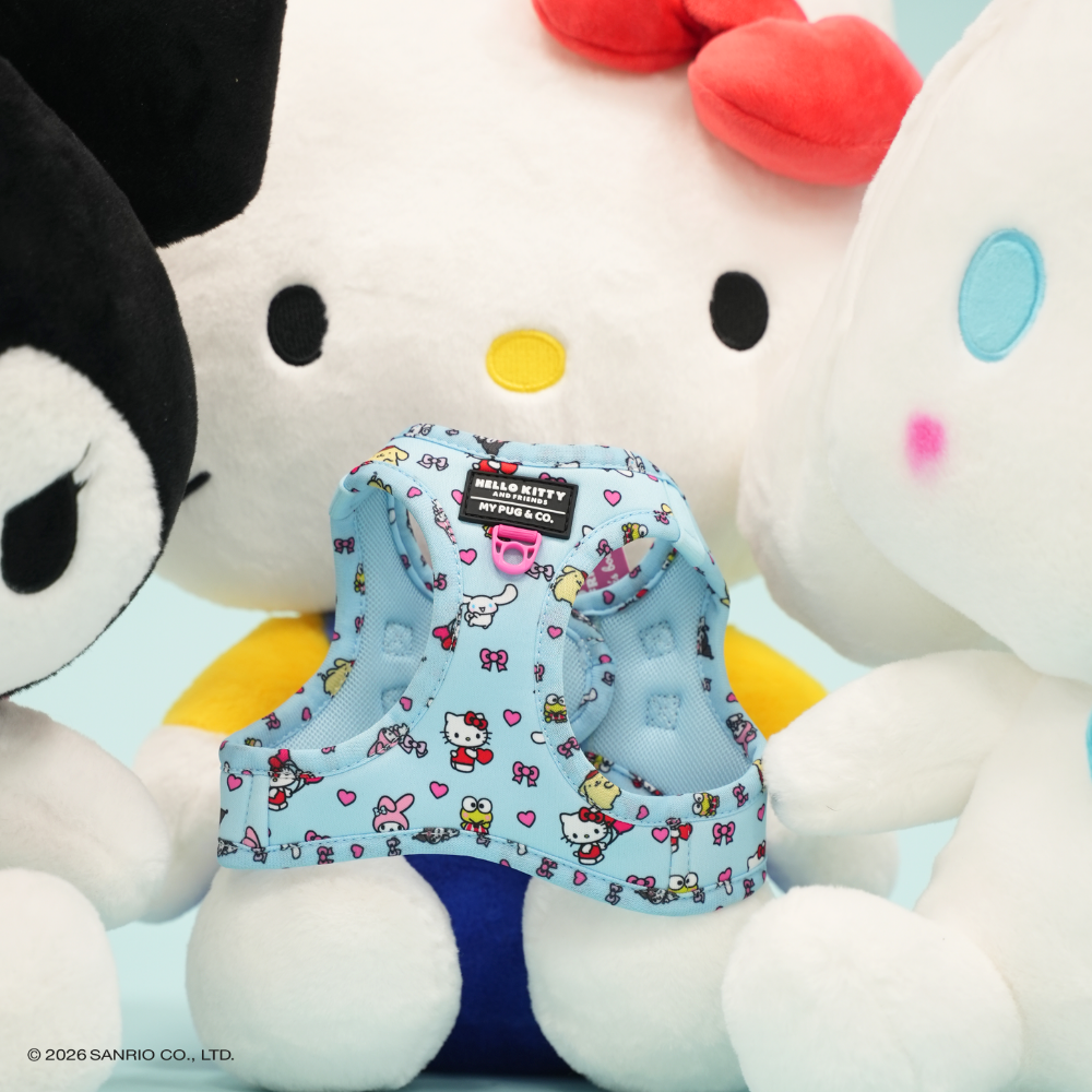 Step-in Hundegeschirr von Hello Kitty and Friends
