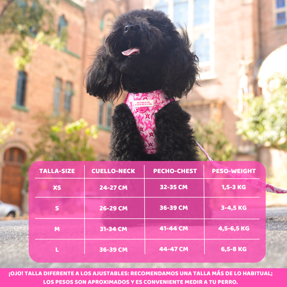 Step-in Hundegeschirr Farbenfrohe Blumen von Agatha Ruiz de la Prada