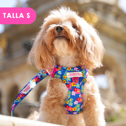 Step-in Hundegeschirr Farbenfrohe Blumen von Agatha Ruiz de la Prada