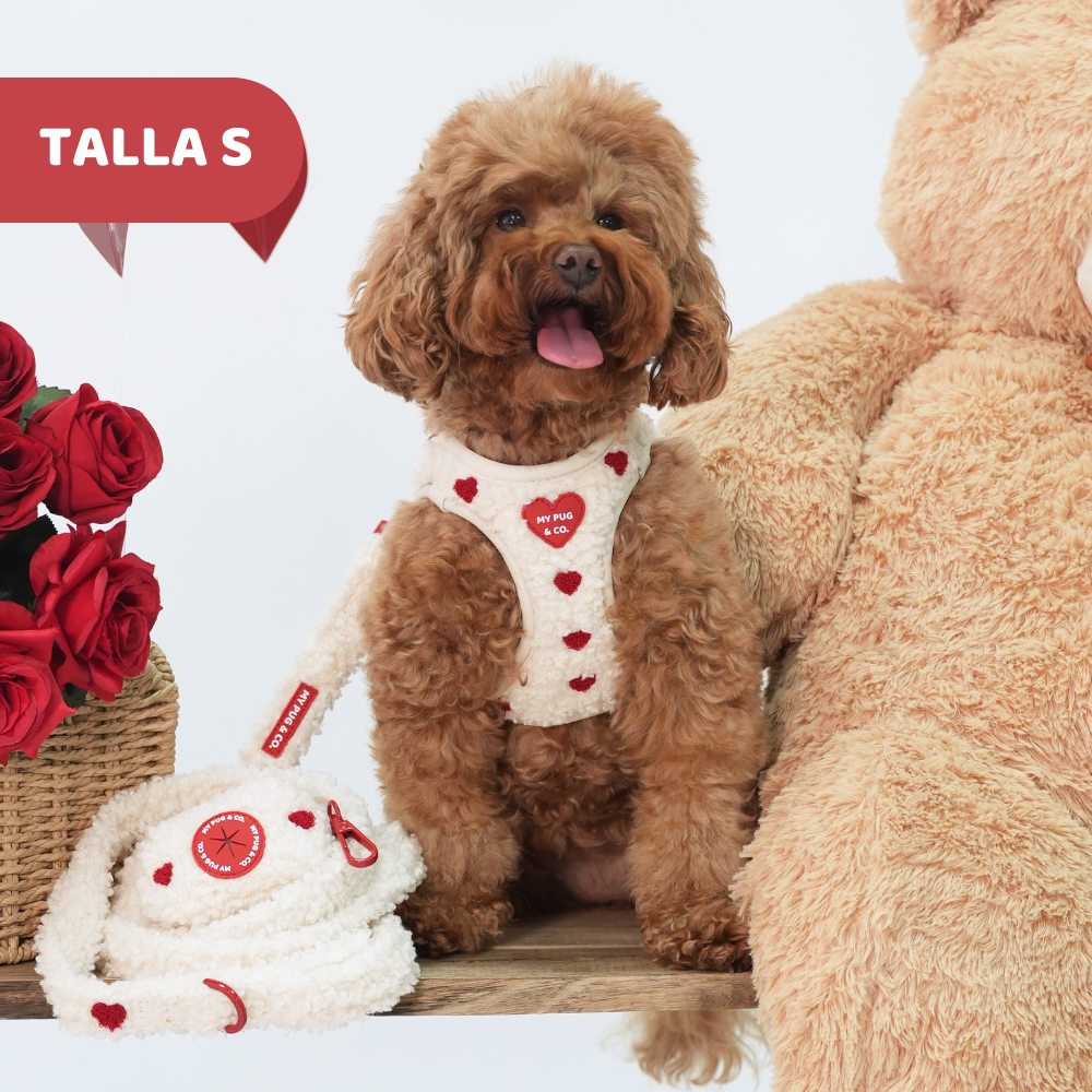 Arnés Body Corazón