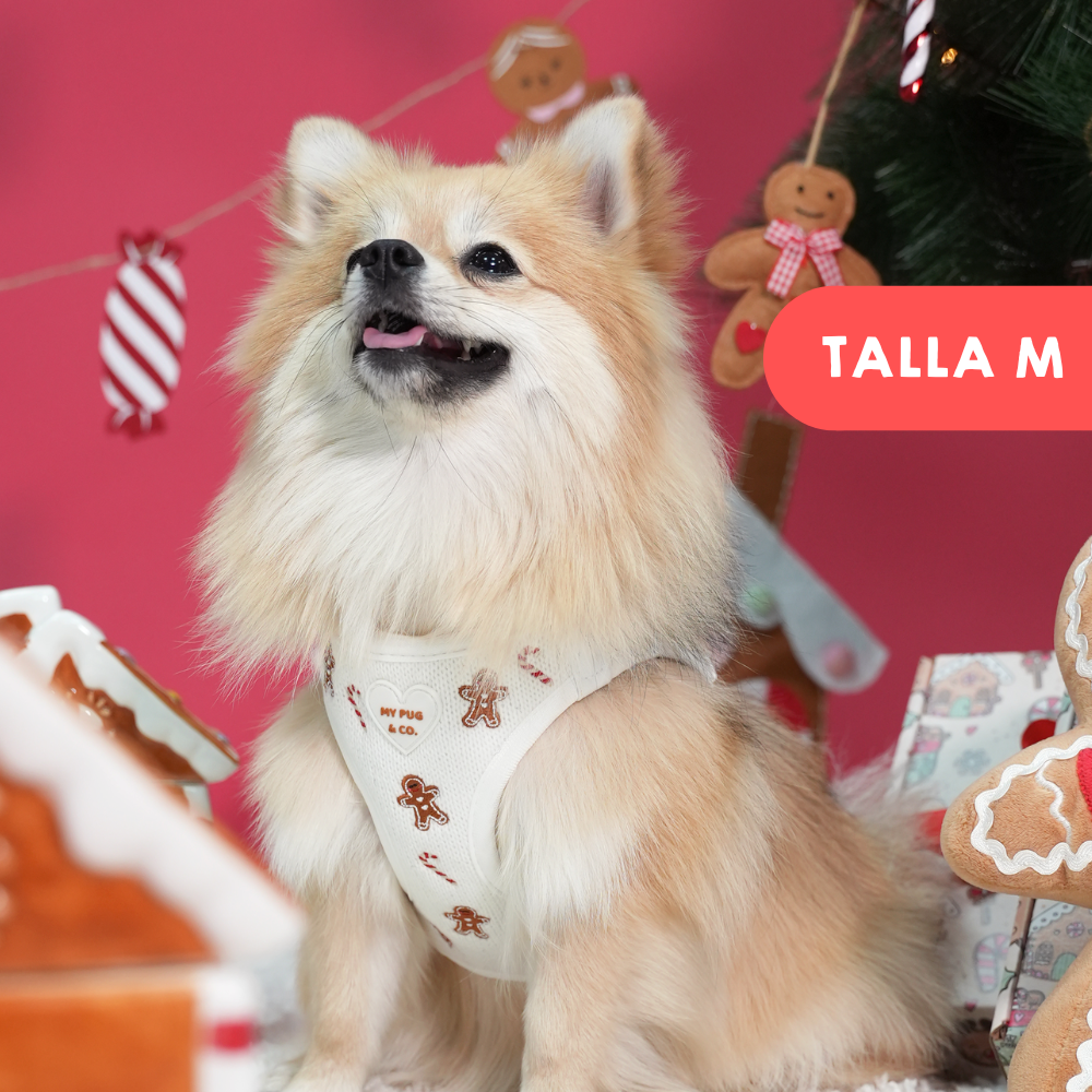 Arnés Body Gingerbread