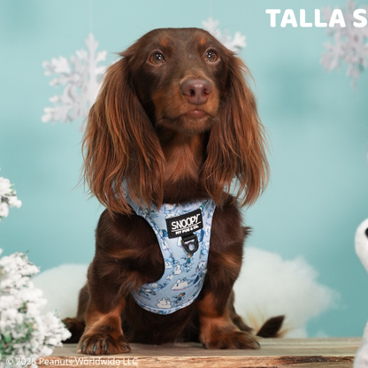 Arnés Body Snoopy™️ Snow