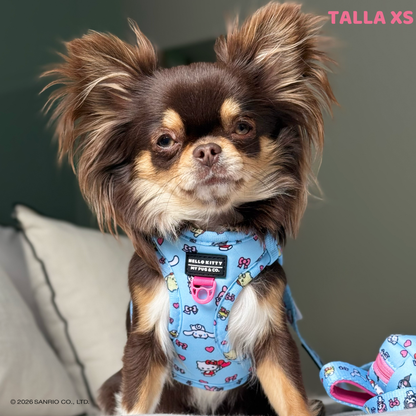 Step-in Hundegeschirr von Hello Kitty and Friends