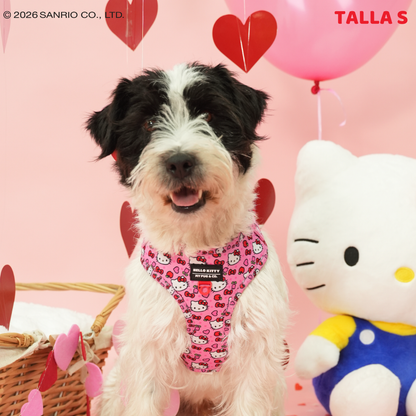Arnés Ajustable Hello Kitty Pink