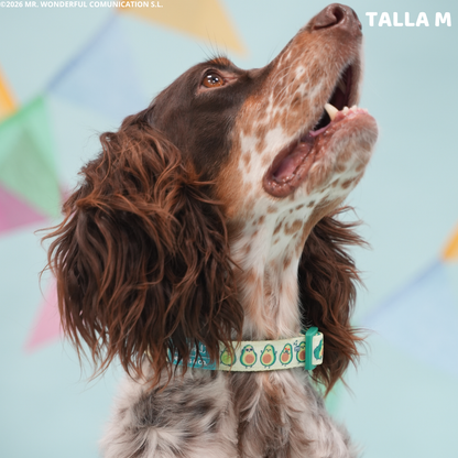 Collar Aguacates by Mr. Wonderful