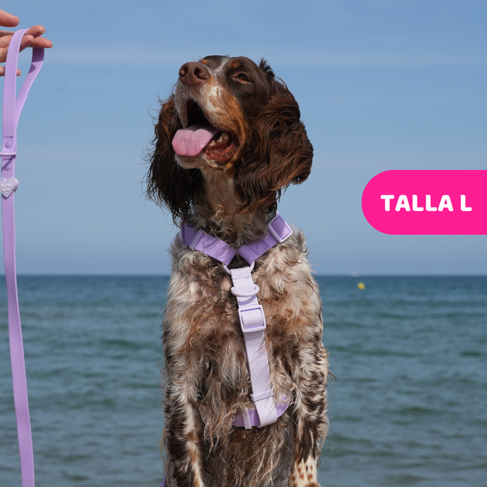 Arnés Ajustable Waterproof Lila