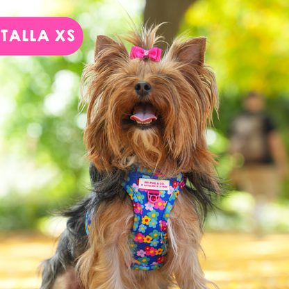 Step-in Hundegeschirr Farbenfrohe Blumen von Agatha Ruiz de la Prada
