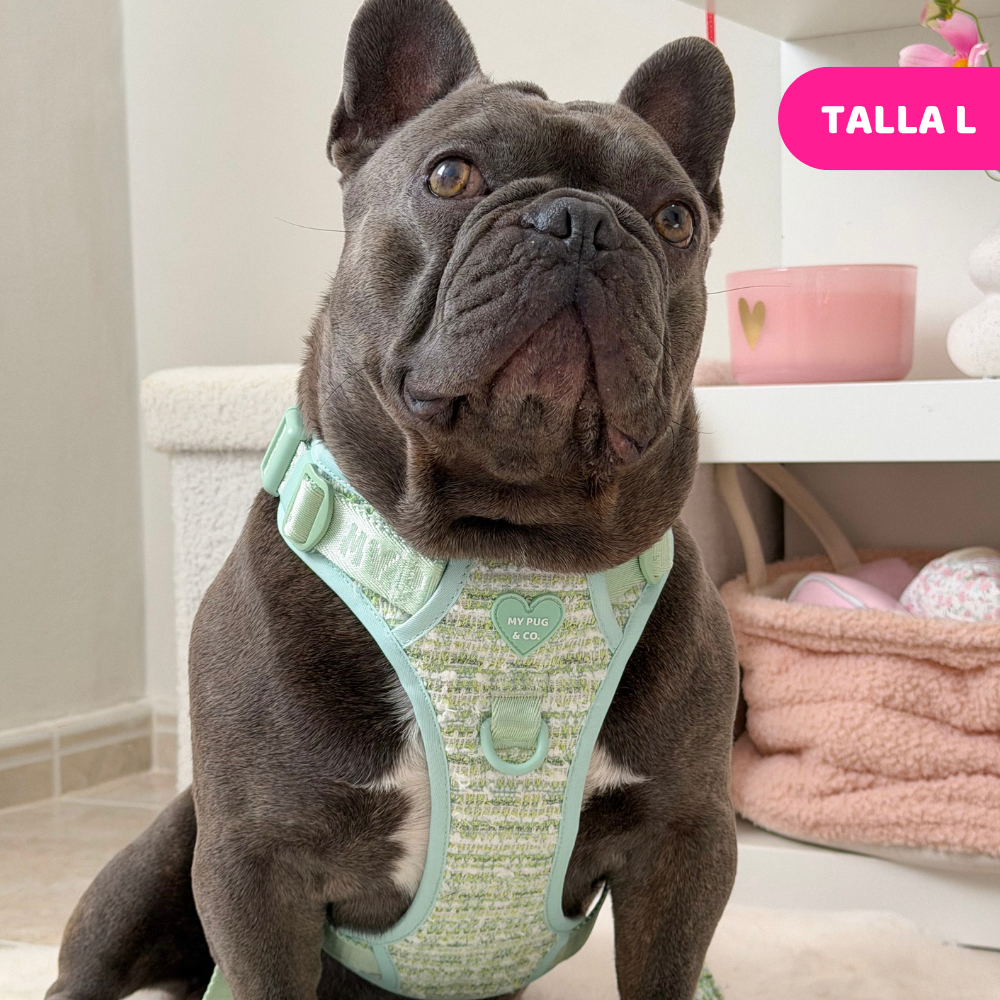  Mint Chic Trail Harness