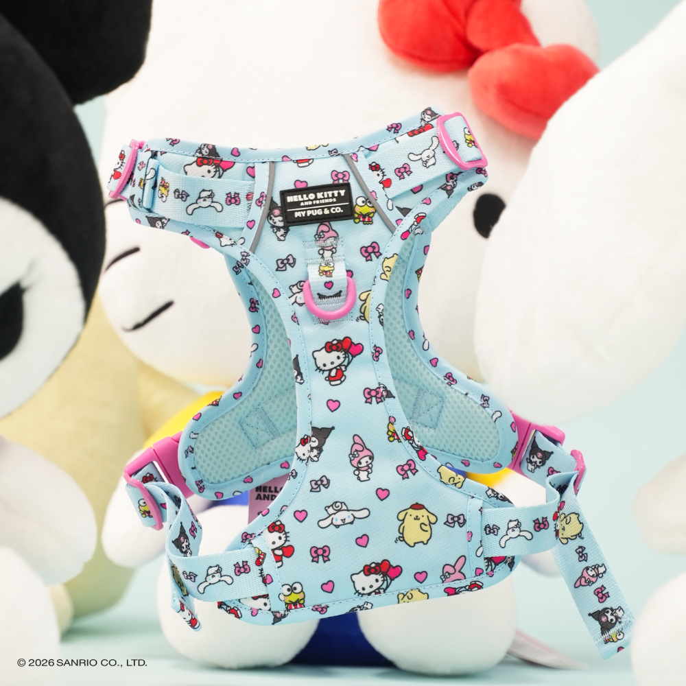 Trail harness by Hello Kitty and Friends