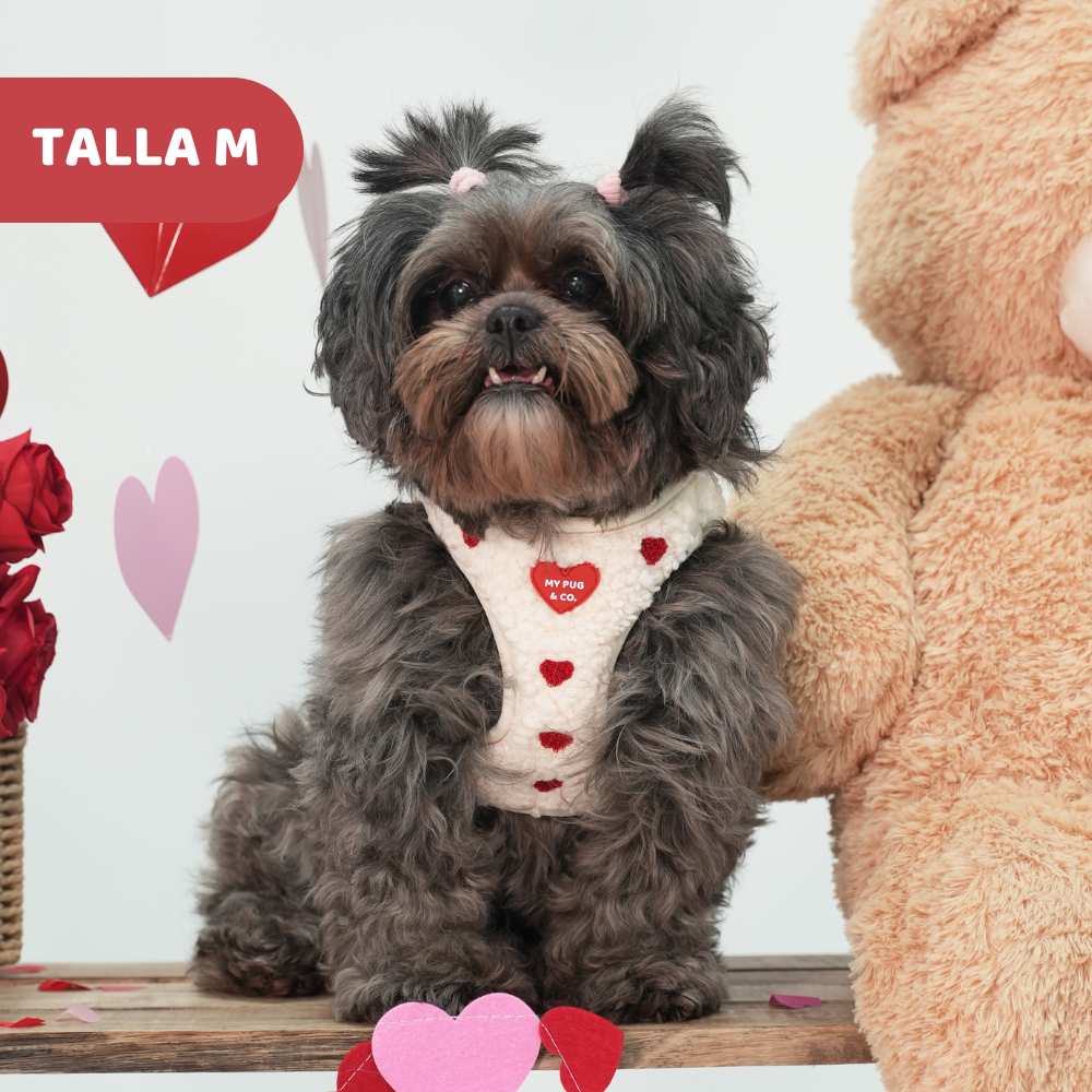 Arnés Body Corazón