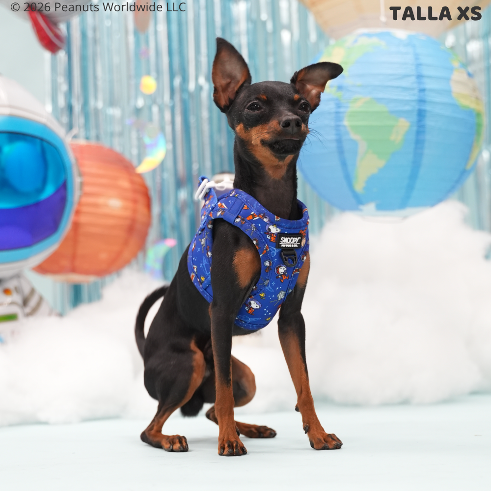 Space Step-in Harness Snoopy™️ 