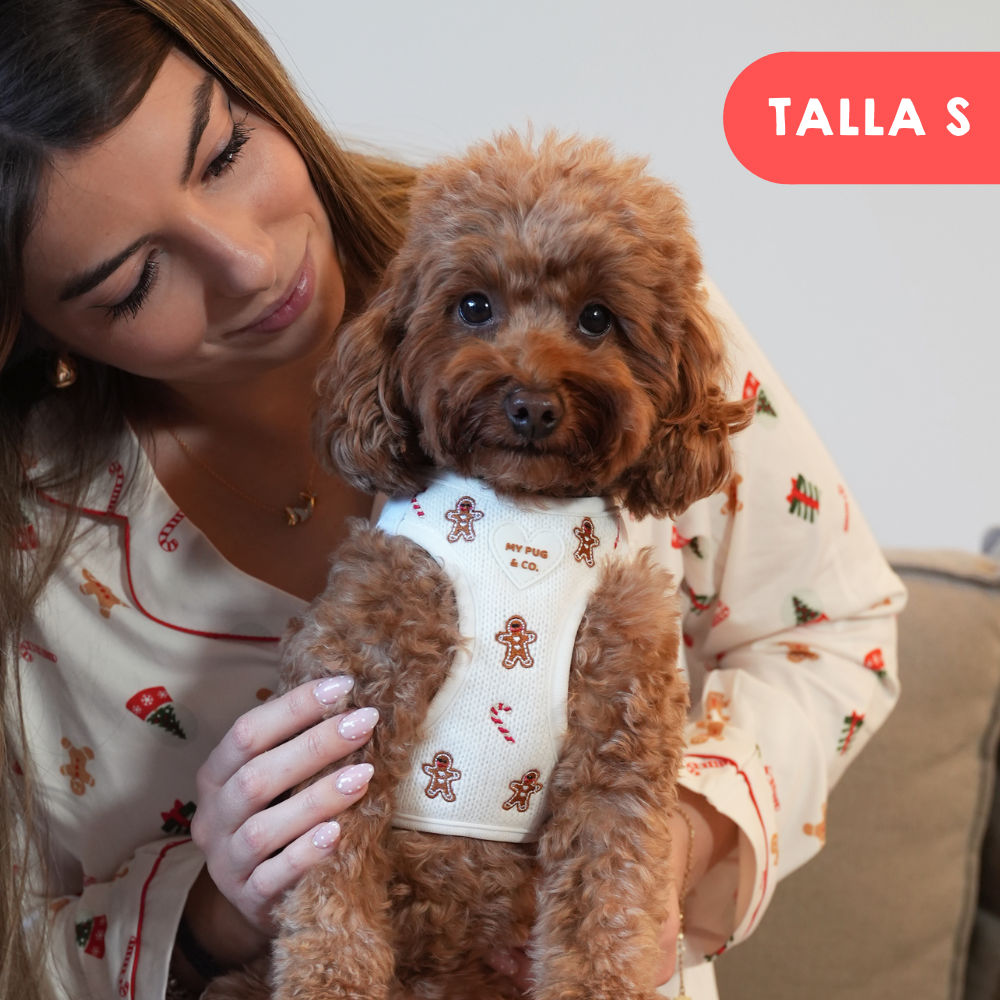 Arnés Body Gingerbread