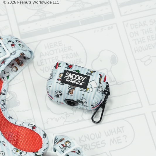 Porta bolsas Many Faces of Snoopy™️