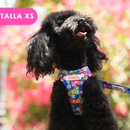 Step-in Hundegeschirr Farbenfrohe Blumen von Agatha Ruiz de la Prada