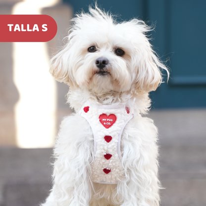 Arnés Body Corazón