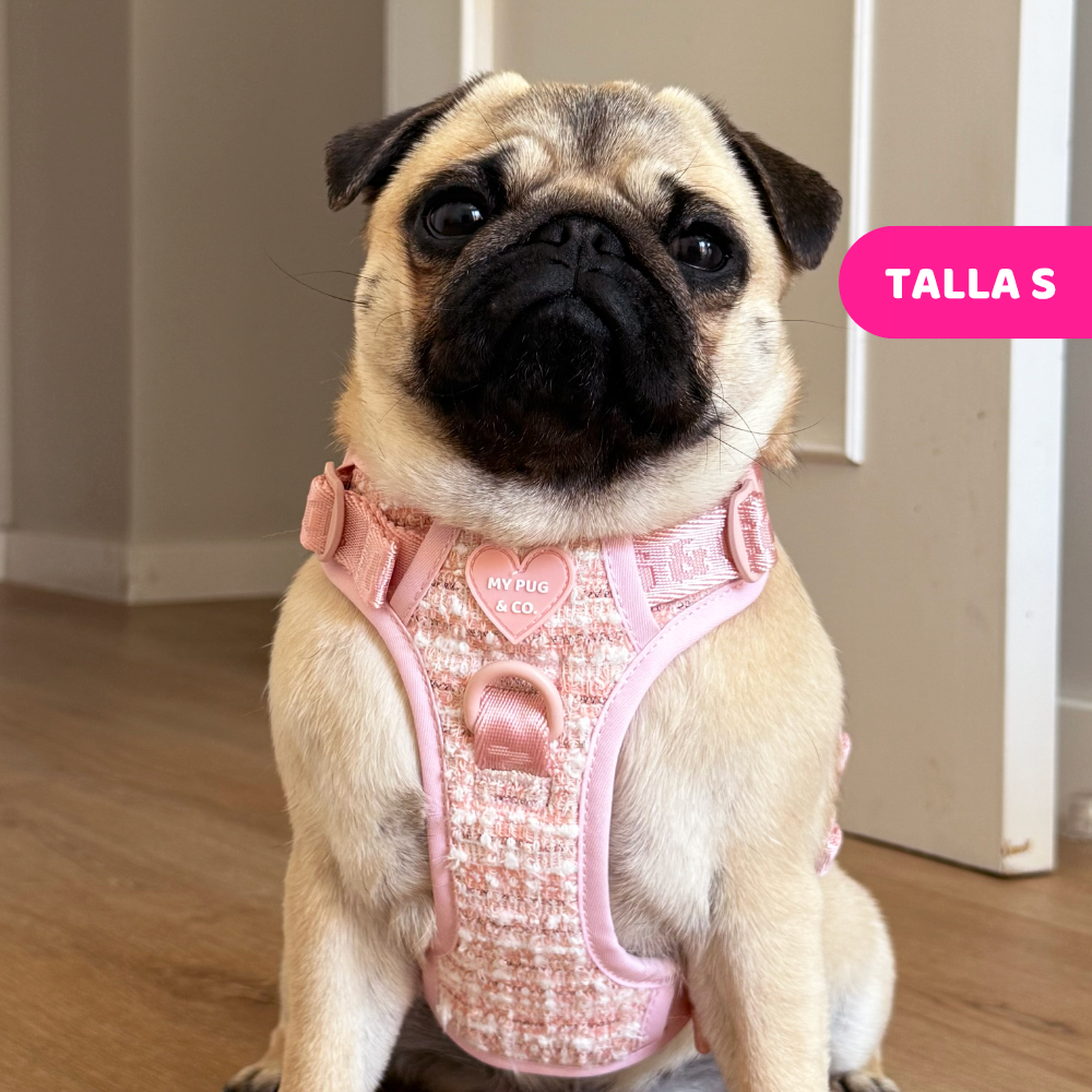  Pink Chic Trail Harness