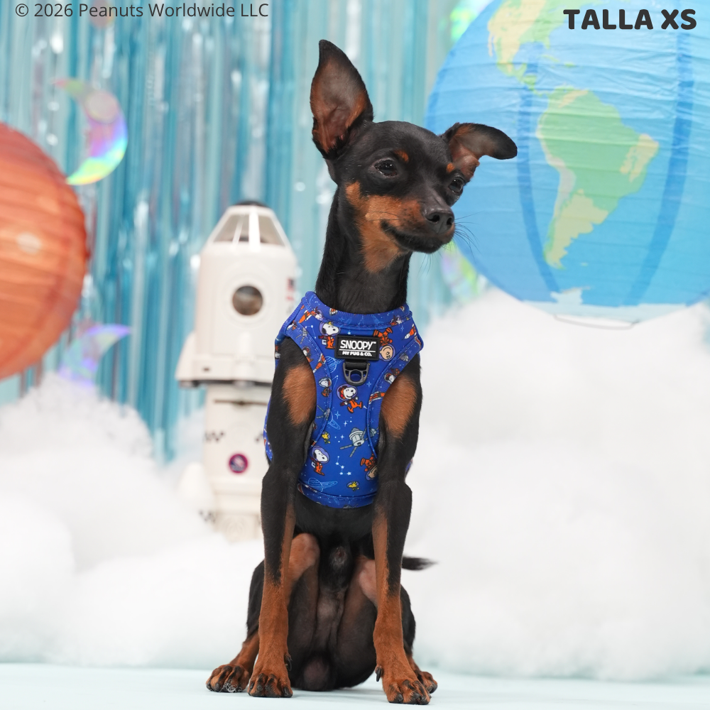 Space Step-in Harness Snoopy™️ 